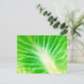 Carte Postale Feuille de Chou (Debout devant)