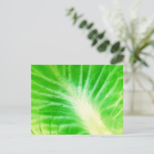 Carte Postale Feuille de Chou (Debout devant)