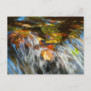 Carte postale Feuille de chute d'eau