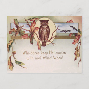 Carte Postale Feuille de couleur automne chauve-souris chouette