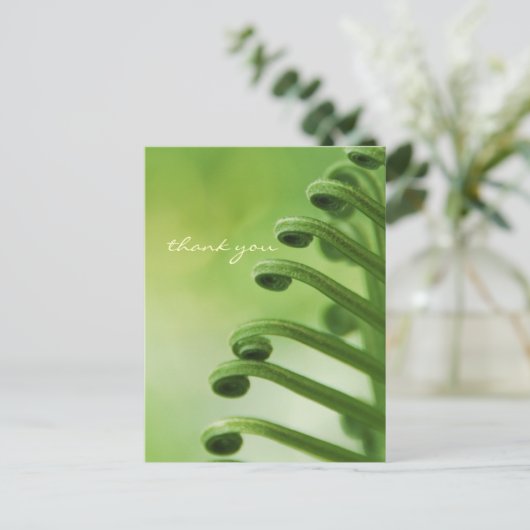 Carte Postale Feuille de courge verte naturelle (Debout devant)