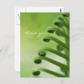 Carte Postale Feuille de courge verte naturelle (Devant / Derrière)