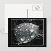 Carte Postale Feuille de dépôt (Devant / Derrière)