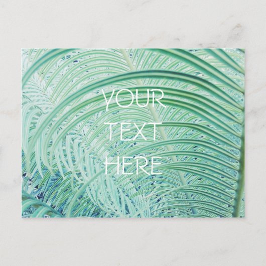 Carte Postale Feuille de palme Plante verte douce (Devant)