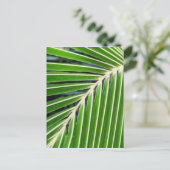 Carte Postale Feuille de palme verte Abstraite (Debout devant)