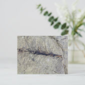 Carte Postale Feuille de Plante fossile fragile (Debout devant)