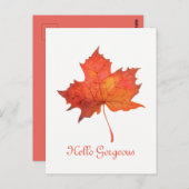 Carte Postale Feuille d'érable aquarelle (Devant / Derrière)