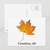 Carte Postale Feuille d'érable canadienne (Devant / Derrière)