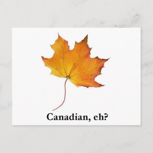 Carte Postale Feuille d'érable canadienne (Devant)