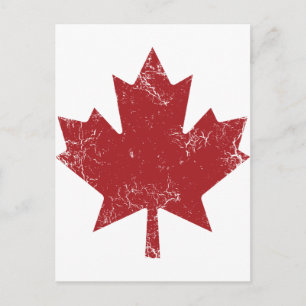Carte Postale Feuille d'érable canadienne (en détresse)