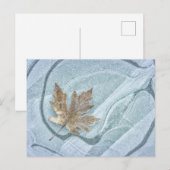 Carte Postale Feuille d'érable congelée sur glace (Devant / Derrière)