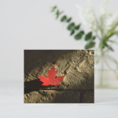 Carte Postale Feuille d'érable du Canada (Debout devant)