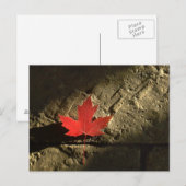 Carte Postale Feuille d'érable du Canada (Devant / Derrière)