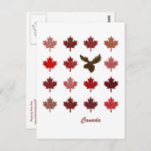 Carte postale Feuille d'érable du Canada et origna (Devant / Derrière)