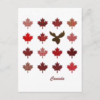 Carte postale Feuille d'érable du Canada et origna