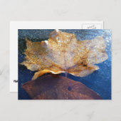 Carte Postale Feuille d'érable jaune congelée Automne Nature (Devant / Derrière)