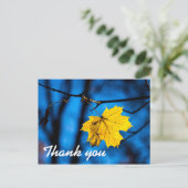 Carte Postale Feuille d'érable jaune en bleu (Debout devant)