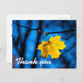 Carte Postale Feuille d'érable jaune en bleu (Devant / Derrière)