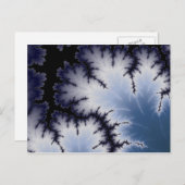 Carte Postale Feuille d'hiver (Devant / Derrière)