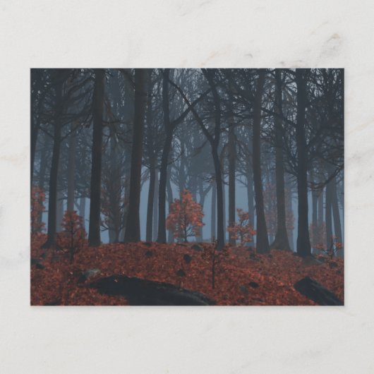 Carte postale Feuille d'hiver (Devant)