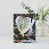 Carte Postale Feuille en forme de cœur avec de la glace (Debout devant)