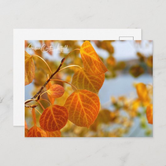 Carte Postale Feuille en Orange (Devant / Derrière)