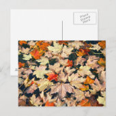 Carte Postale Feuille, Feuille, Feuille (Devant / Derrière)