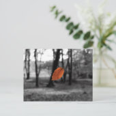 Carte Postale Feuille flottante (Debout devant)