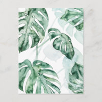 Feuille fractionnée de palme tropicale