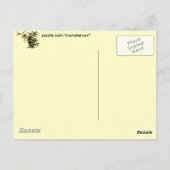 Carte postale Feuille Holly (Dos)