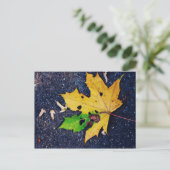 Carte Postale Feuille jaune (Debout devant)