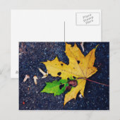 Carte Postale Feuille jaune (Devant / Derrière)