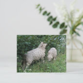 Carte postale Feuille mignonne pour les moutons (Debout devant)