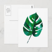 Carte postale Feuille Monstera (Devant / Derrière)