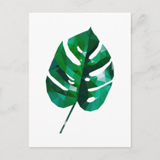 Carte postale Feuille Monstera