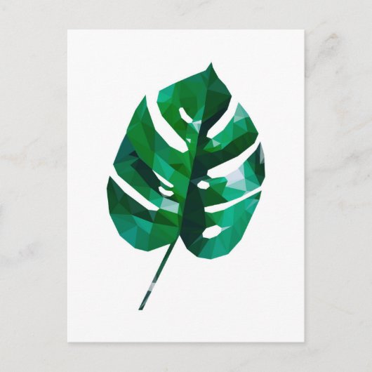 Carte postale Feuille Monstera (Devant)