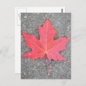 Carte Postale Feuille morte (Devant / Derrière)