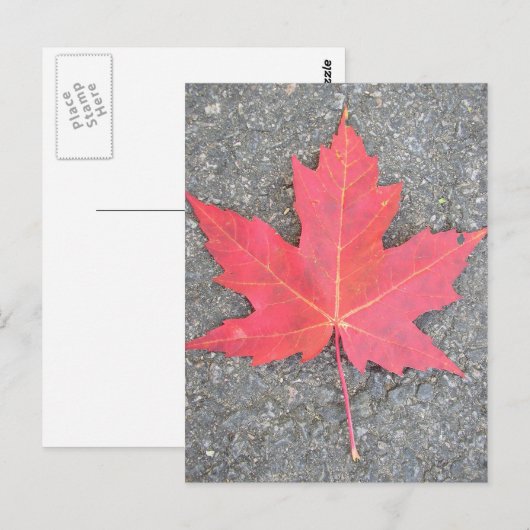 Carte Postale Feuille morte (Devant / Derrière)