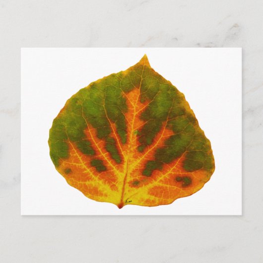 Carte Postale Feuille orange et jaune verte #1 d'Aspen (Devant)