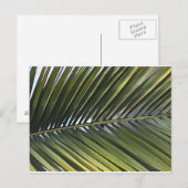 Carte postale Feuille Palm Tree (Devant / Derrière)
