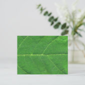Carte Postale Feuille photo Macro (Debout devant)