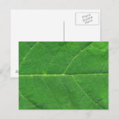 Carte Postale Feuille photo Macro (Devant / Derrière)