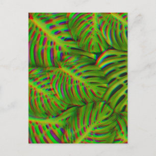 Carte postale Feuille Rainbow Monstera