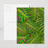 Carte postale Feuille Rainbow Monstera (Devant / Derrière)