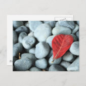 Carte Postale Feuille rouge et pierres (Devant / Derrière)