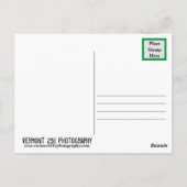 Carte postale Feuille tombée (Dos)