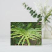 Carte Postale Feuille tropicale (Debout devant)