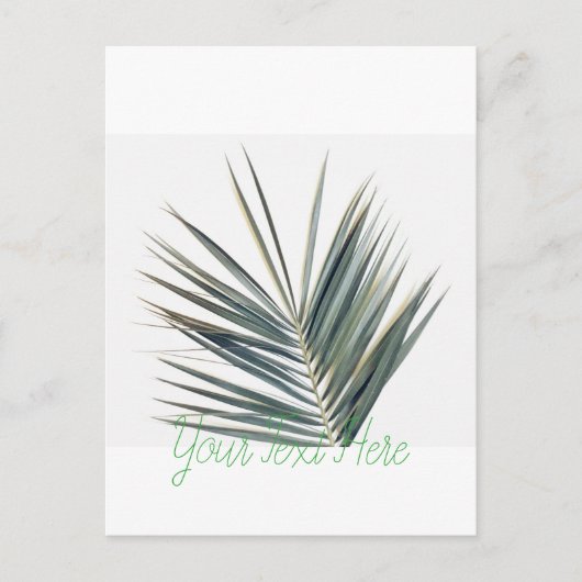 Carte Postale Feuille vert pâle (Devant)