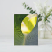 Carte Postale Feuille verte (Debout devant)