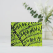 Carte postale Feuille verte (Debout devant)